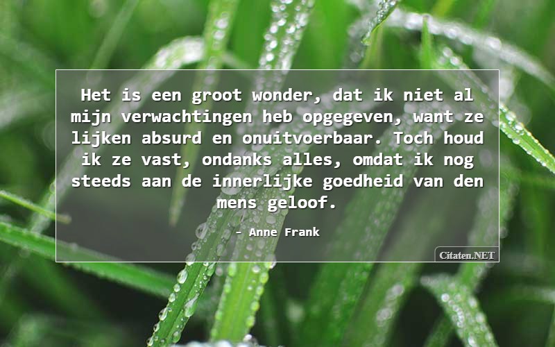 Toch Citaten Quotes En Wijsheden Citaten Net 18920 Hot Sex Picture