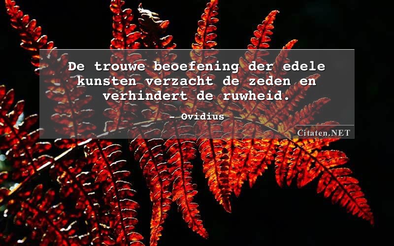 Citaten Met Beoefening Citaten Quotes Aforismen En Wijsheden Hot Sex Picture