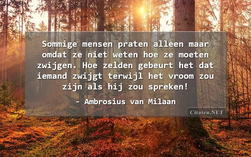 Sommige mensen praten alleen maar omdat ze niet weten hoe ze moeten zwijgen. Hoe zelden gebeurt het dat iemand zwijgt terwijl het vroom zou zijn als hij zou spreken!