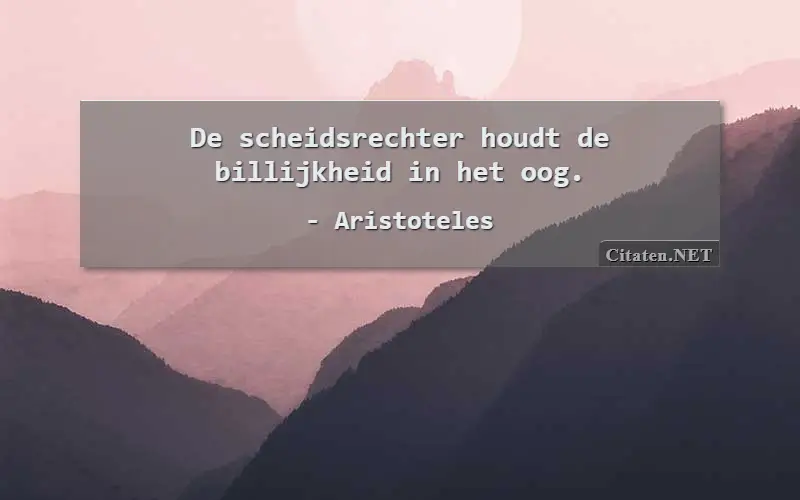 De scheidsrechter houdt de billijkheid in het oog.