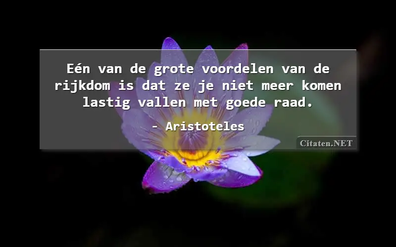 Eén van de grote voordelen van de rijkdom is dat ze je niet meer komen lastig vallen met goede raad.