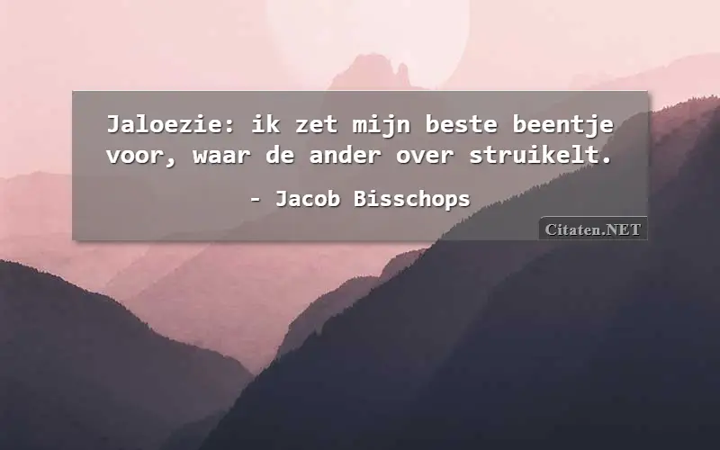 Jaloezie: ik zet mijn beste beentje voor, waar de ander over struikelt.
