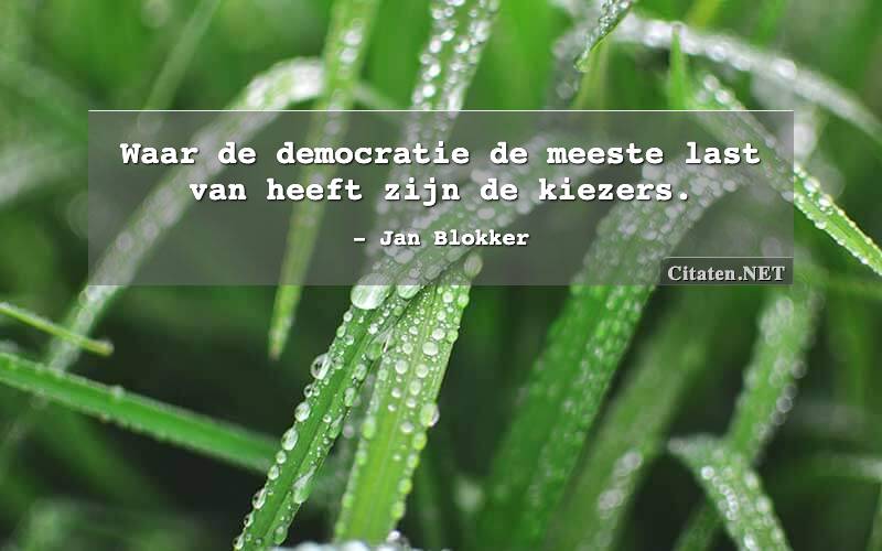 Waar de democratie de meeste last van heeft zijn de kiezers.