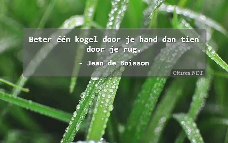 Beter één kogel door je hand dan tien door je rug.