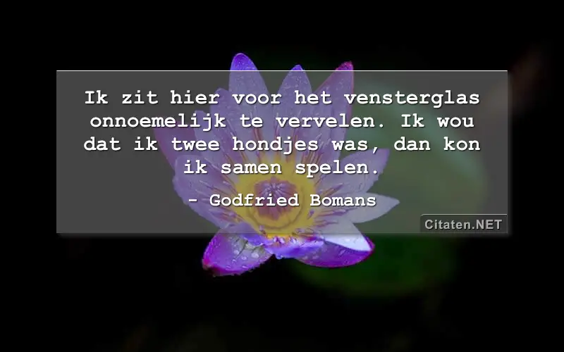 Ik zit hier voor het vensterglas
onnoemelijk te vervelen.
Ik wou dat ik twee hondjes was,
dan kon ik samen spelen.