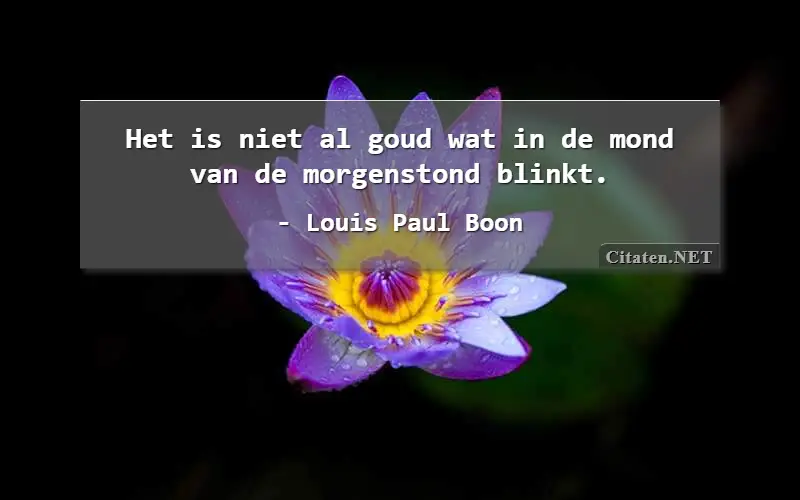 Het is niet al goud wat in de mond van de morgenstond blinkt.