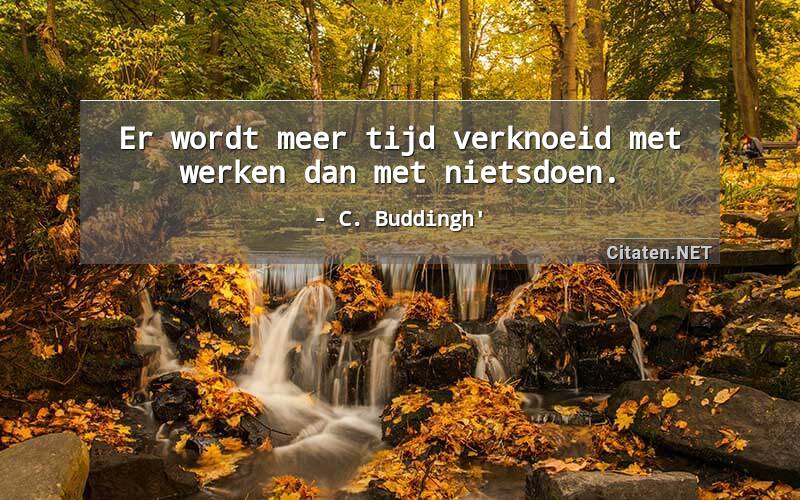 Er wordt meer tijd verknoeid met werken dan met nietsdoen.