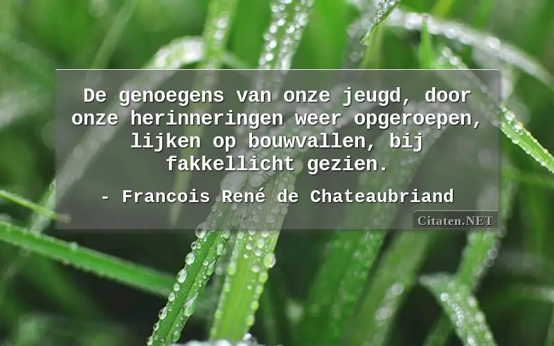 De genoegens van onze jeugd, door onze herinneringen weer opgeroepen, lijken op bouwvallen, bij fakkellicht gezien.