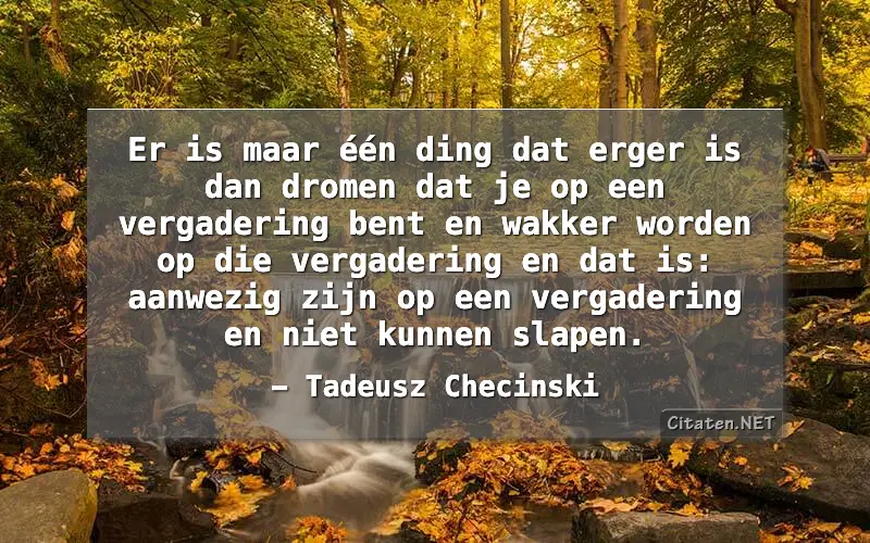 Er is maar één ding dat erger is dan dromen dat je op een vergadering bent en wakker worden op die vergadering en dat is: aanwezig zijn op een vergadering en niet kunnen slapen.