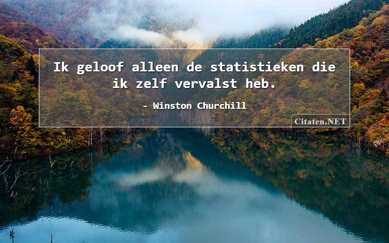 Ik geloof alleen de statistieken die ik zelf vervalst heb.
