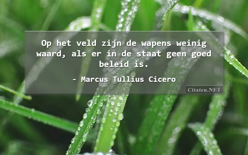 Op het veld zijn de wapens weinig waard, als er in de staat geen goed beleid is.