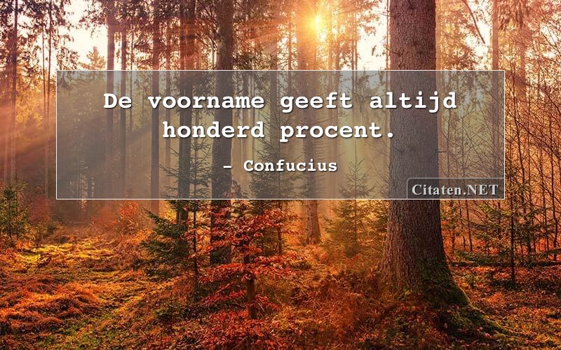 De voorname geeft altijd honderd procent.