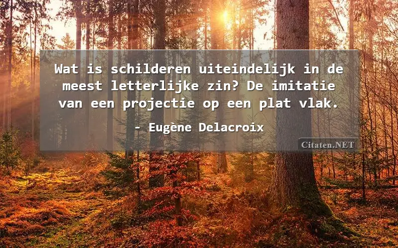 Wat is schilderen uiteindelijk in de meest letterlijke zin? De imitatie van een projectie op een plat vlak.