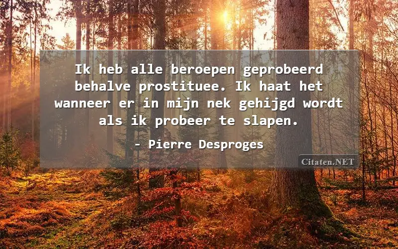 Ik heb alle beroepen geprobeerd behalve prostituee. Ik haat het wanneer er in mijn nek gehijgd wordt als ik probeer te slapen.