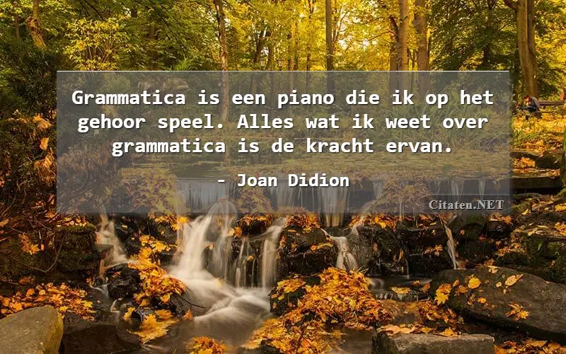 Grammatica is een piano die ik op het gehoor speel. Alles wat ik weet over grammatica is de kracht ervan.