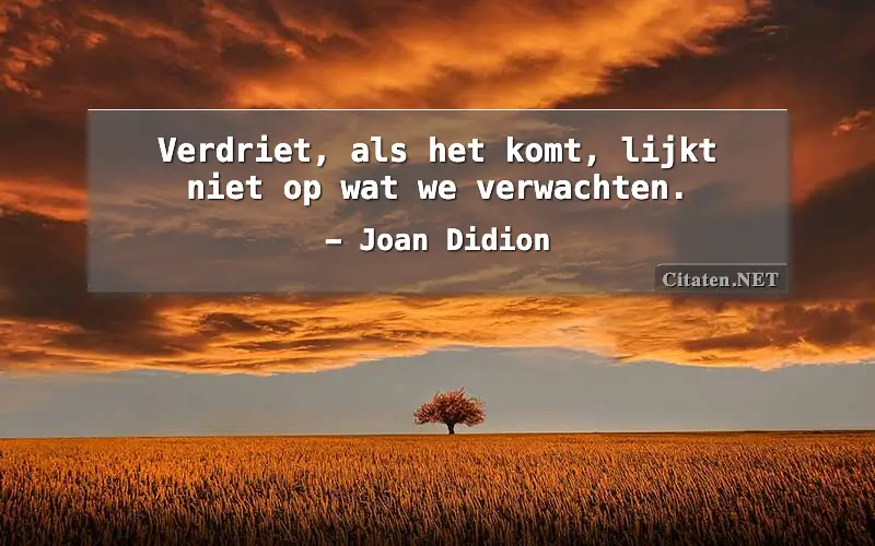 Verdriet, als het komt, lijkt niet op wat we verwachten.