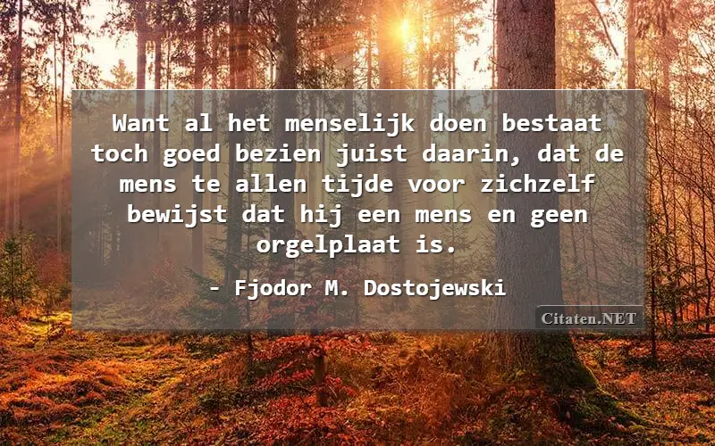 Want al het menselijk doen bestaat toch goed bezien juist daarin, dat de mens te allen tijde voor zichzelf bewijst dat hij een mens en geen orgelplaat is.