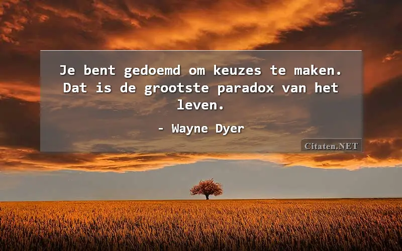 Je bent gedoemd om keuzes te maken. Dat is de grootste paradox van het leven.