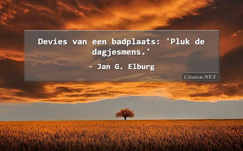 Devies van een badplaats: 'Pluk de dagjesmens.'