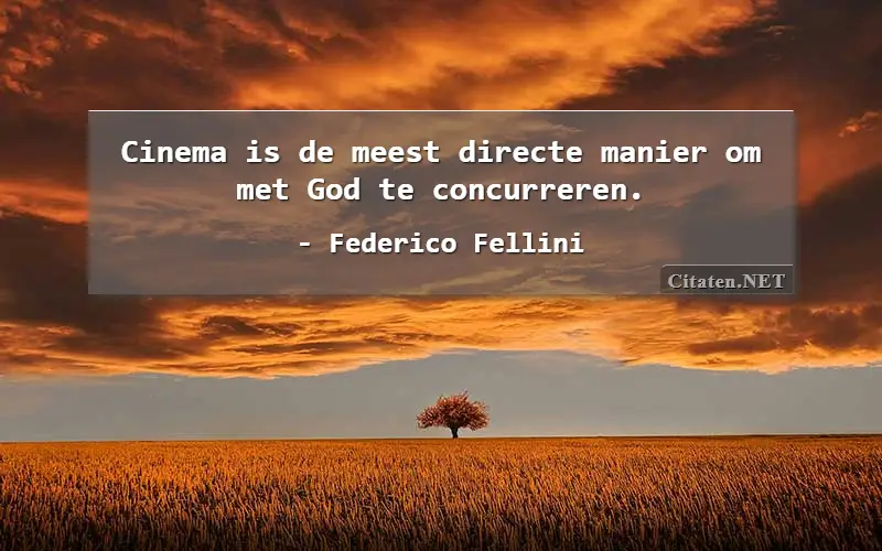 Cinema is de meest directe manier om met God te concurreren.