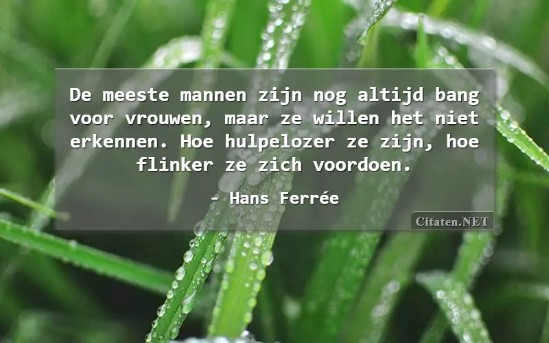 De meeste mannen zijn nog altijd bang voor vrouwen, maar ze willen het niet erkennen. Hoe hulpelozer ze zijn, hoe flinker ze zich voordoen.