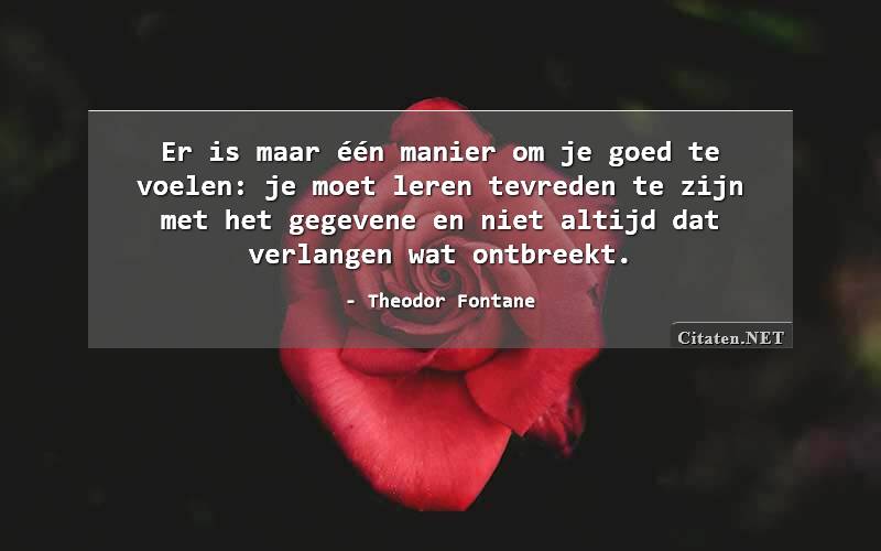 Er is maar één manier om je goed te voelen: je moet leren tevreden te zijn met het gegevene en niet altijd dat verlangen wat ontbreekt.