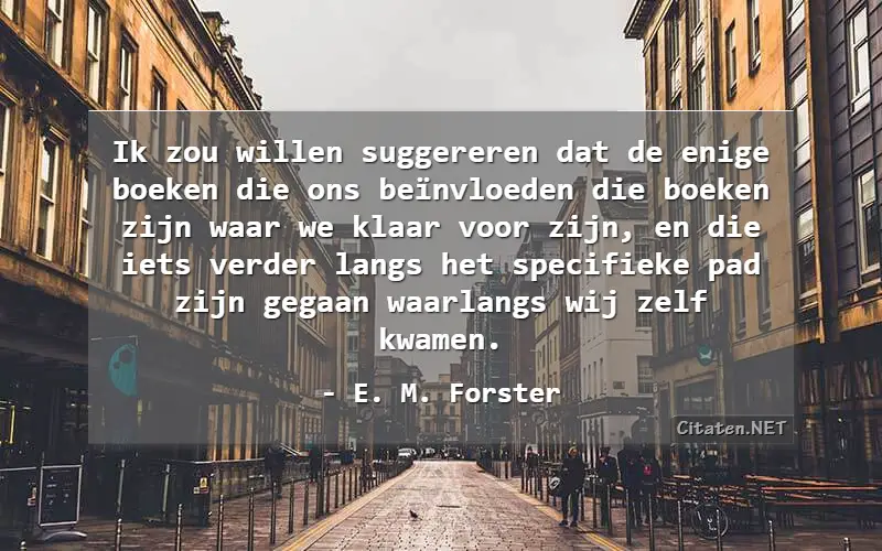 Ik zou willen suggereren dat de enige boeken die ons beïnvloeden die boeken zijn waar we klaar voor zijn, en die iets verder langs het specifieke pad zijn gegaan waarlangs wij zelf kwamen.