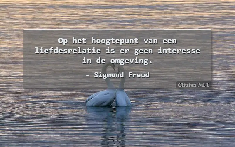 Op het hoogtepunt van een liefdesrelatie is er geen interesse in de omgeving.