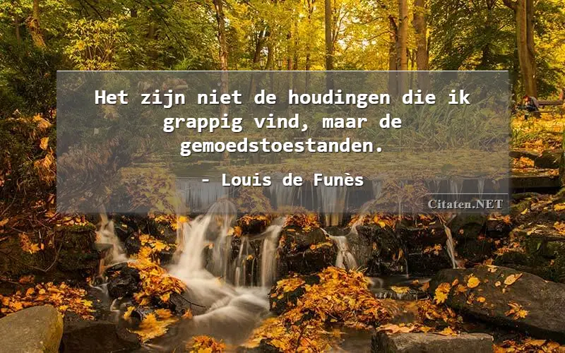 Het zijn niet de houdingen die ik grappig vind, maar de gemoedstoestanden.