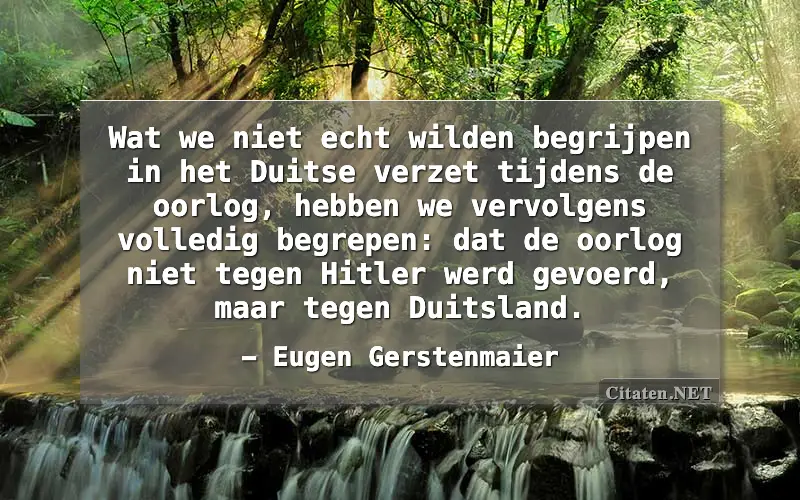 Wat we niet echt wilden begrijpen in het Duitse verzet tijdens de oorlog, hebben we vervolgens volledig begrepen: dat de oorlog niet tegen Hitler werd gevoerd, maar tegen Duitsland.