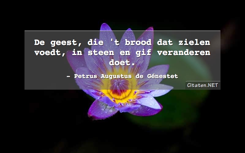 De geest, die 't brood dat zielen voedt, in steen en gif veranderen doet.