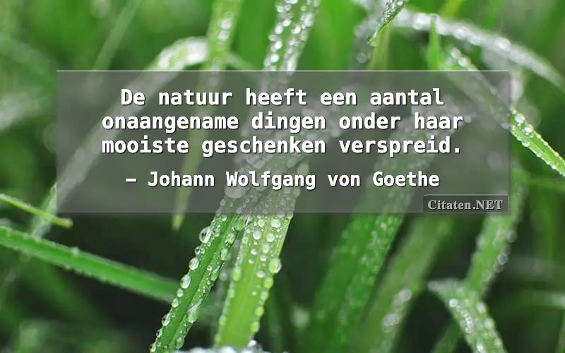 De natuur heeft een aantal onaangename dingen onder haar mooiste geschenken verspreid.