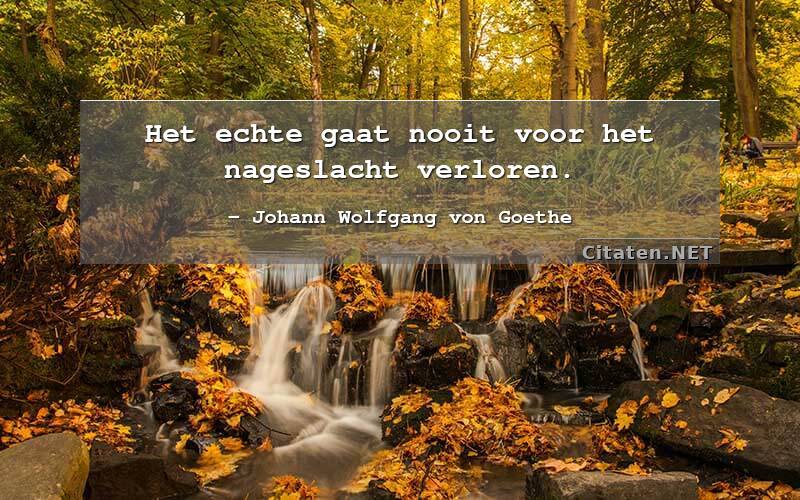 Het echte gaat nooit voor het nageslacht verloren.