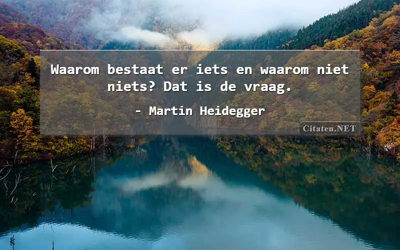 Waarom bestaat er iets en waarom niet niets? Dat is de vraag.