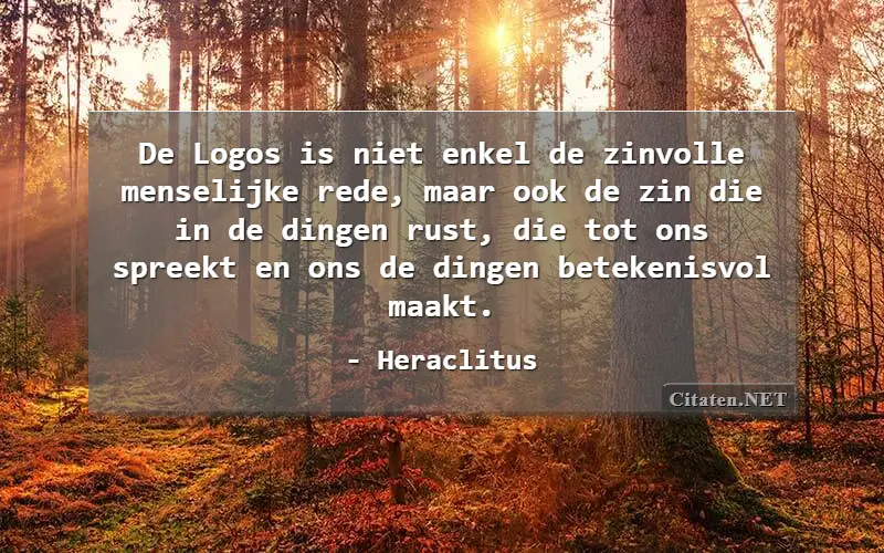 De Logos is niet enkel de zinvolle menselijke rede, maar ook de zin die in de dingen rust, die tot ons spreekt en ons de dingen betekenisvol maakt.