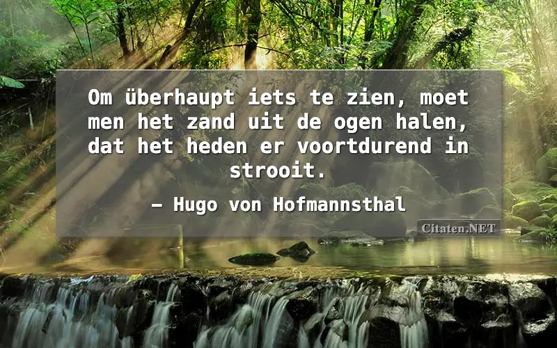Om überhaupt iets te zien, moet men het zand uit de ogen halen, dat het heden er voortdurend in strooit.