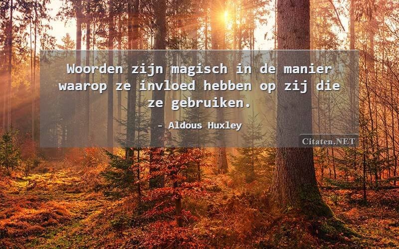 Woorden zijn magisch in de manier waarop ze invloed hebben op zij die ze gebruiken.