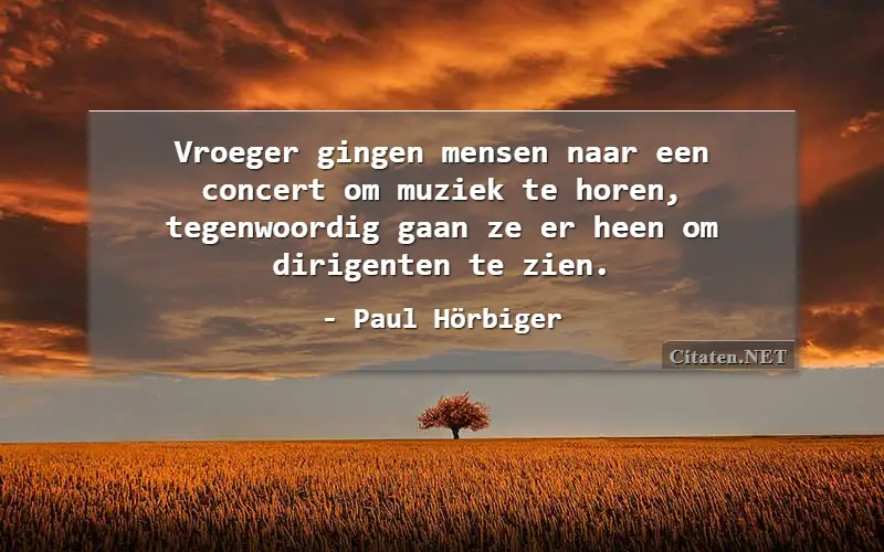 Vroeger gingen mensen naar een concert om muziek te horen, tegenwoordig gaan ze er heen om dirigenten te zien.