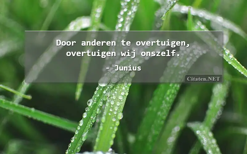 Door anderen te overtuigen, overtuigen wij onszelf.