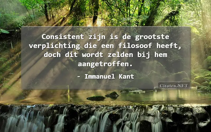 Consistent zijn is de grootste verplichting die een filosoof heeft, doch dit wordt zelden bij hem aangetroffen.