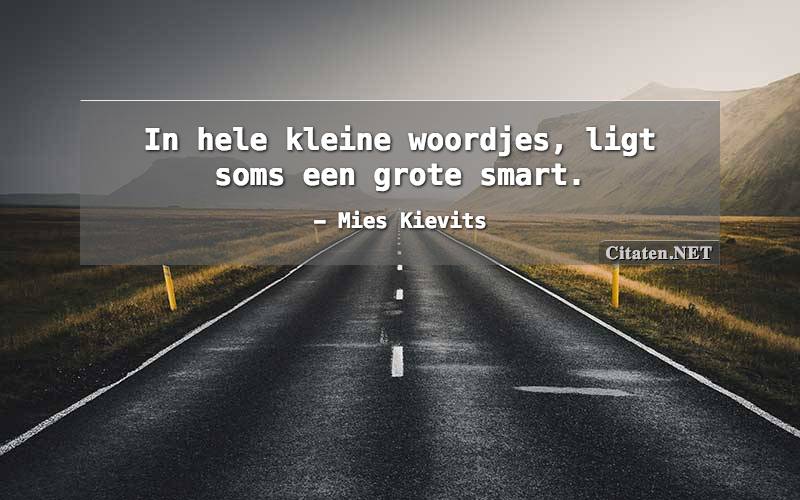 In hele kleine woordjes, ligt soms een grote smart.