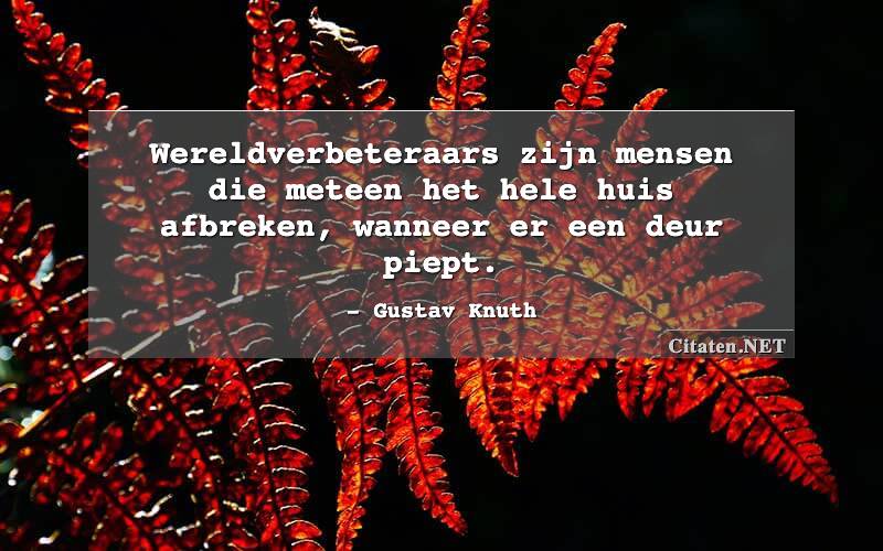 Wereldverbeteraars zijn mensen die meteen het hele huis afbreken, wanneer er een deur piept.