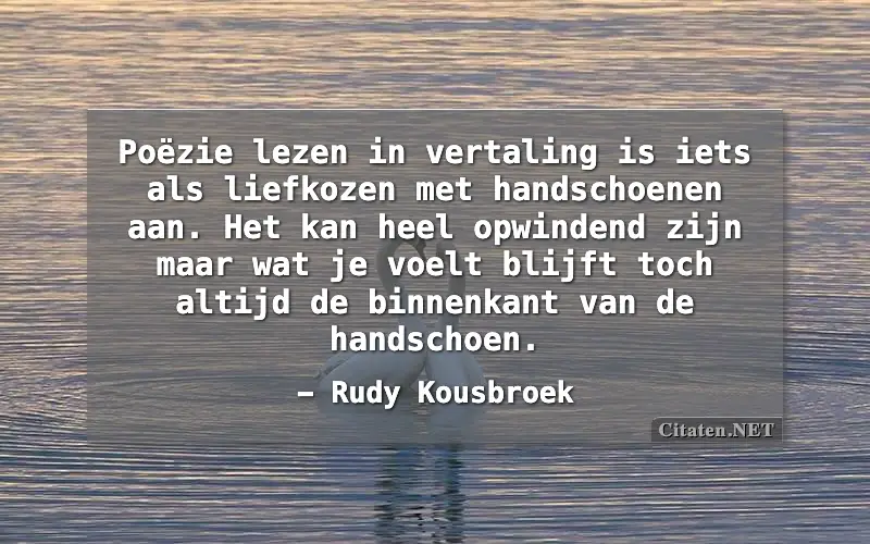 Poëzie lezen in vertaling is iets als liefkozen met handschoenen aan. Het kan heel opwindend zijn maar wat je voelt blijft toch altijd de binnenkant van de handschoen.
