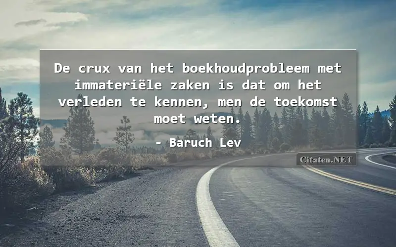 De crux van het boekhoudprobleem met immateriële zaken is dat om het verleden te kennen, men de toekomst moet weten.