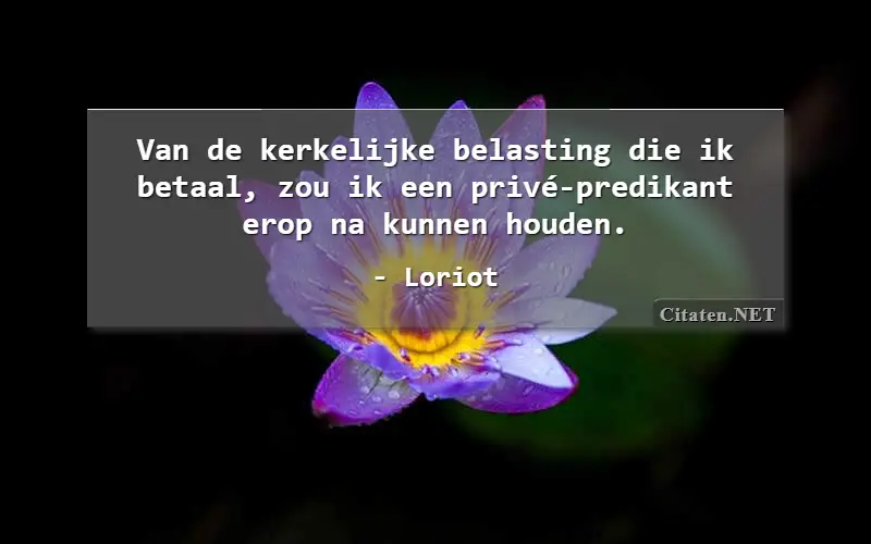 Van de kerkelijke belasting die ik betaal, zou ik een privé-predikant erop na kunnen houden.