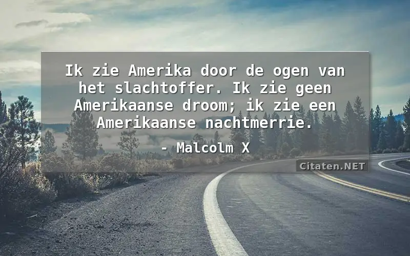 Ik zie Amerika door de ogen van het slachtoffer. Ik zie geen Amerikaanse droom; ik zie een Amerikaanse nachtmerrie.