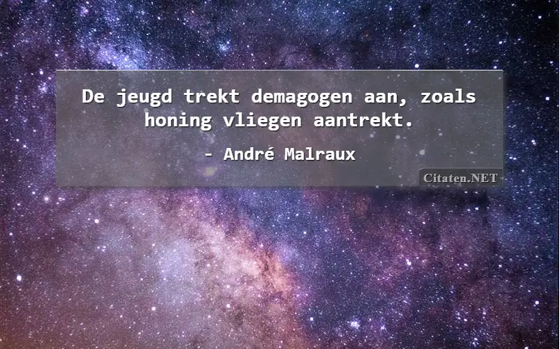 De jeugd trekt demagogen aan, zoals honing vliegen aantrekt.