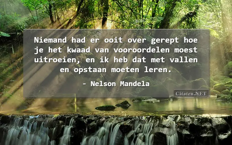 Niemand had er ooit over gerept hoe je het kwaad van vooroordelen moest uitroeien, en ik heb dat met vallen en opstaan moeten leren.