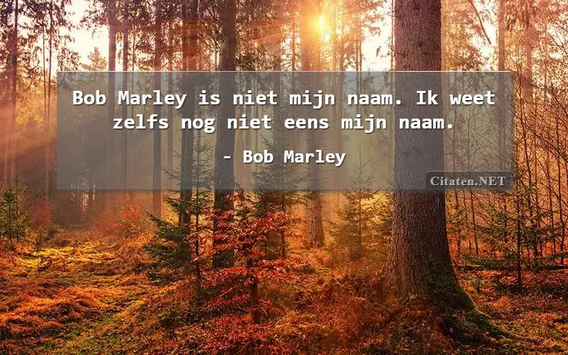 Bob Marley is niet mijn naam. Ik weet zelfs nog niet eens mijn naam.