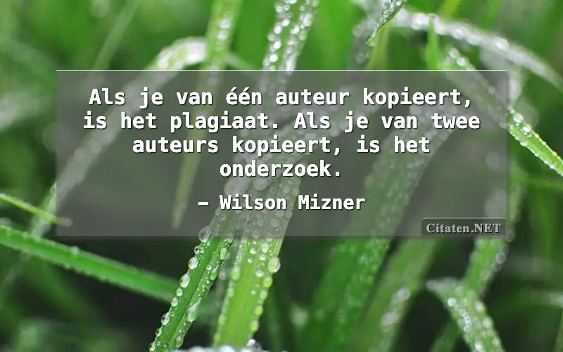 Als je van één auteur kopieert, is het plagiaat. Als je van twee auteurs kopieert, is het onderzoek.